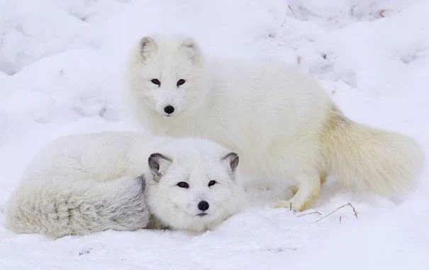 ㅈㅌㅍㅇ 보다 훨씬 좋은거 보고 갈래?_20.webp