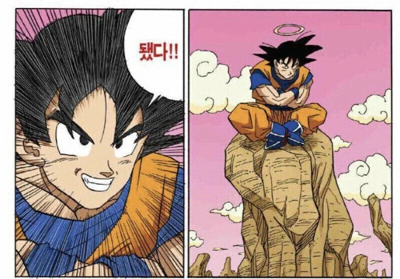 (드래곤볼) 손오공의 도인 컨셉 수행_3.webp