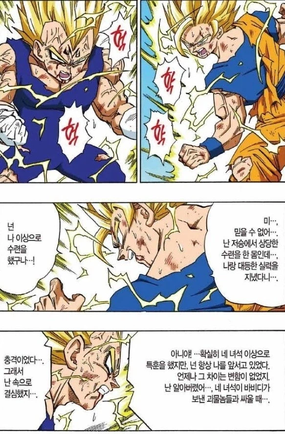 (드래곤볼) 손오공의 도인 컨셉 수행_6.webp