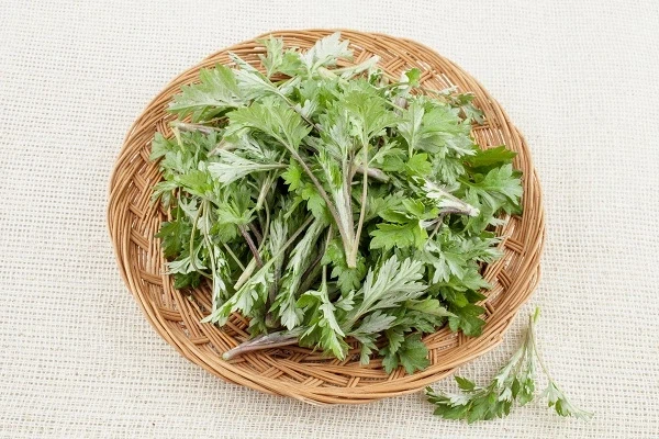 존나 바이럴 돌린다는 음식_3.webp