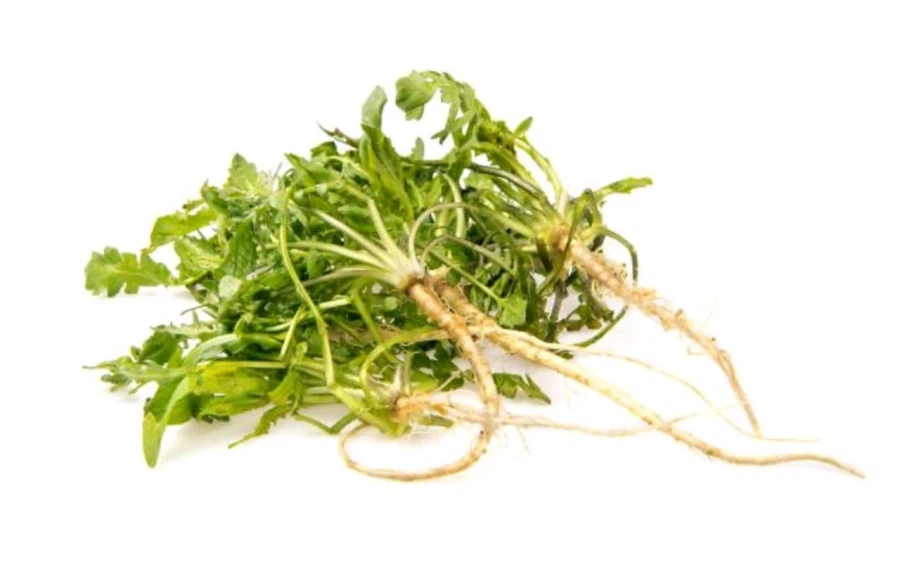 존나 바이럴 돌린다는 음식_4.webp