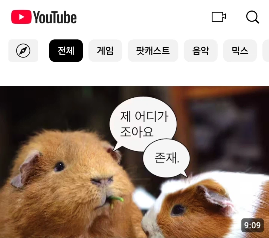 생각보다 치이는 말투_1.webp