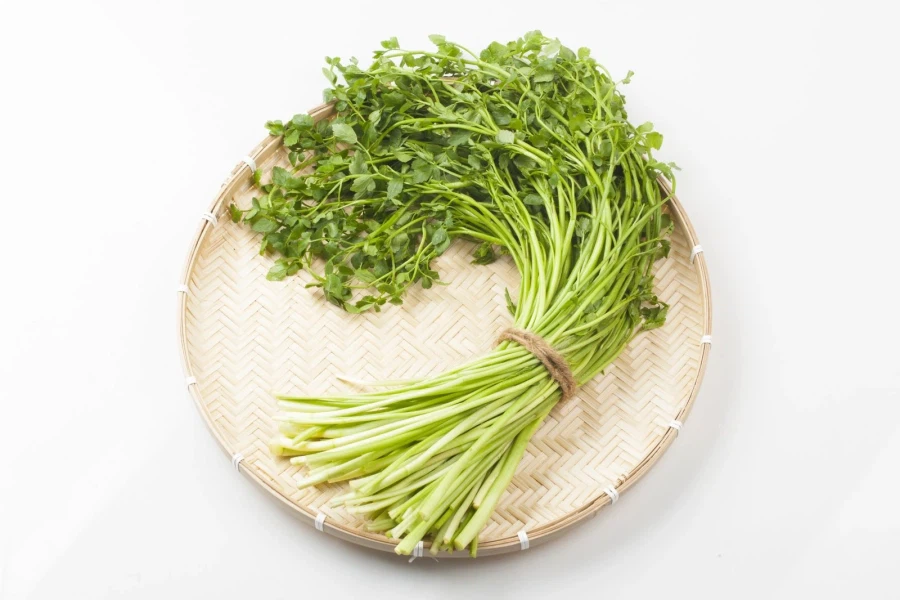 바이럴 ㅈ나게 안하는 음식_1.webp