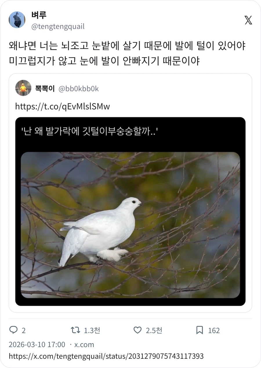 어그부츠 신은 메쭈리_1.webp