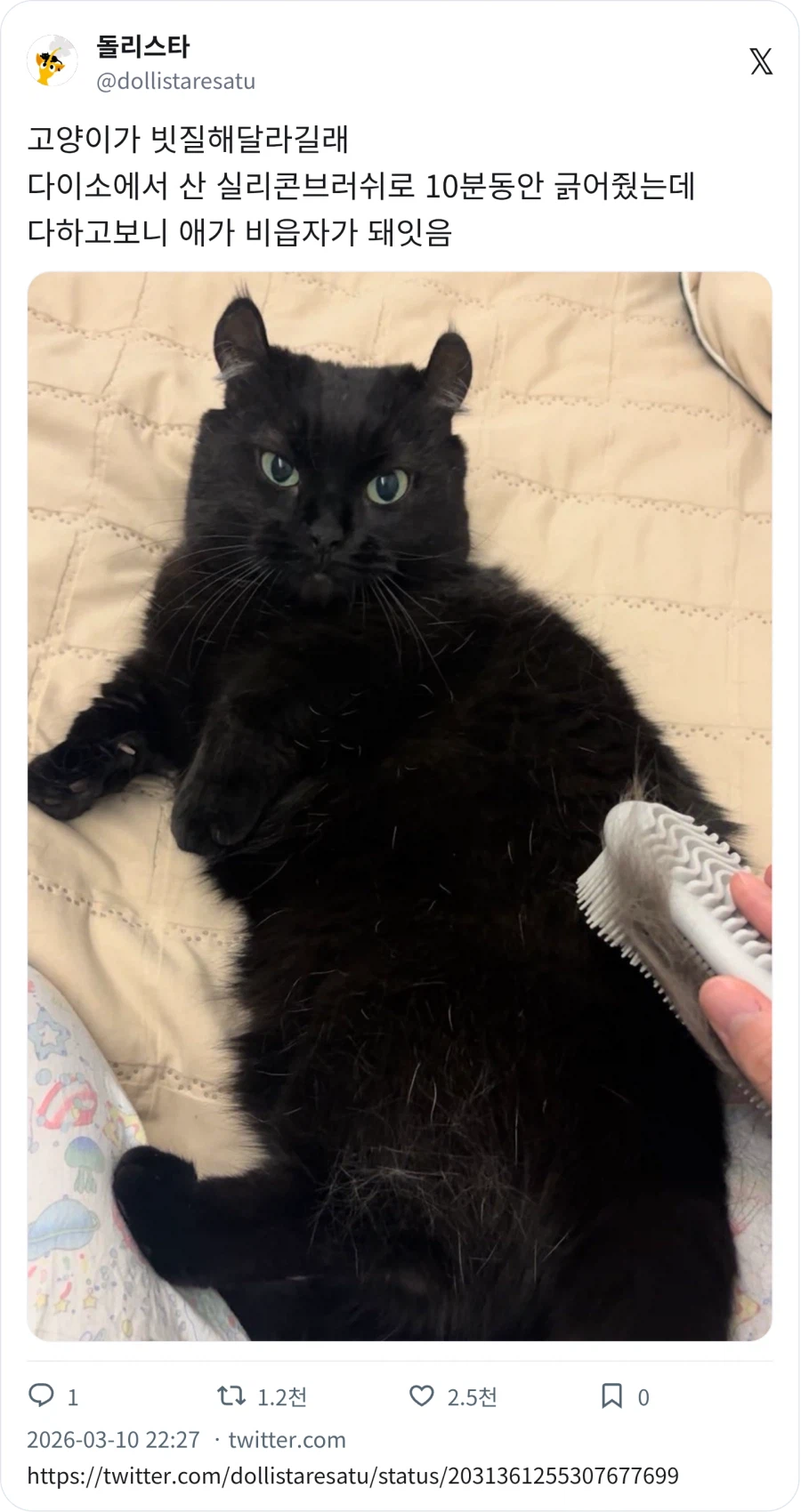 다이소 실리콘 브러쉬 후기_1.webp