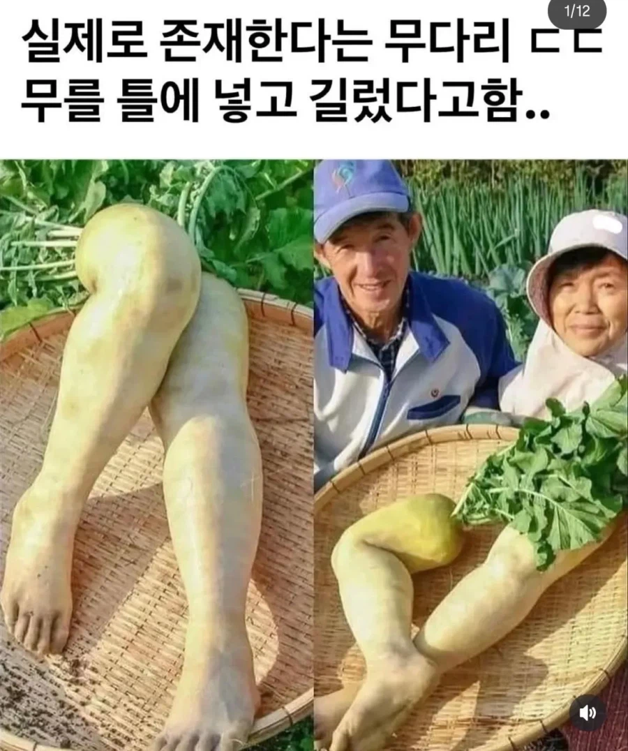 의외로 AI가 아닌것_1.webp