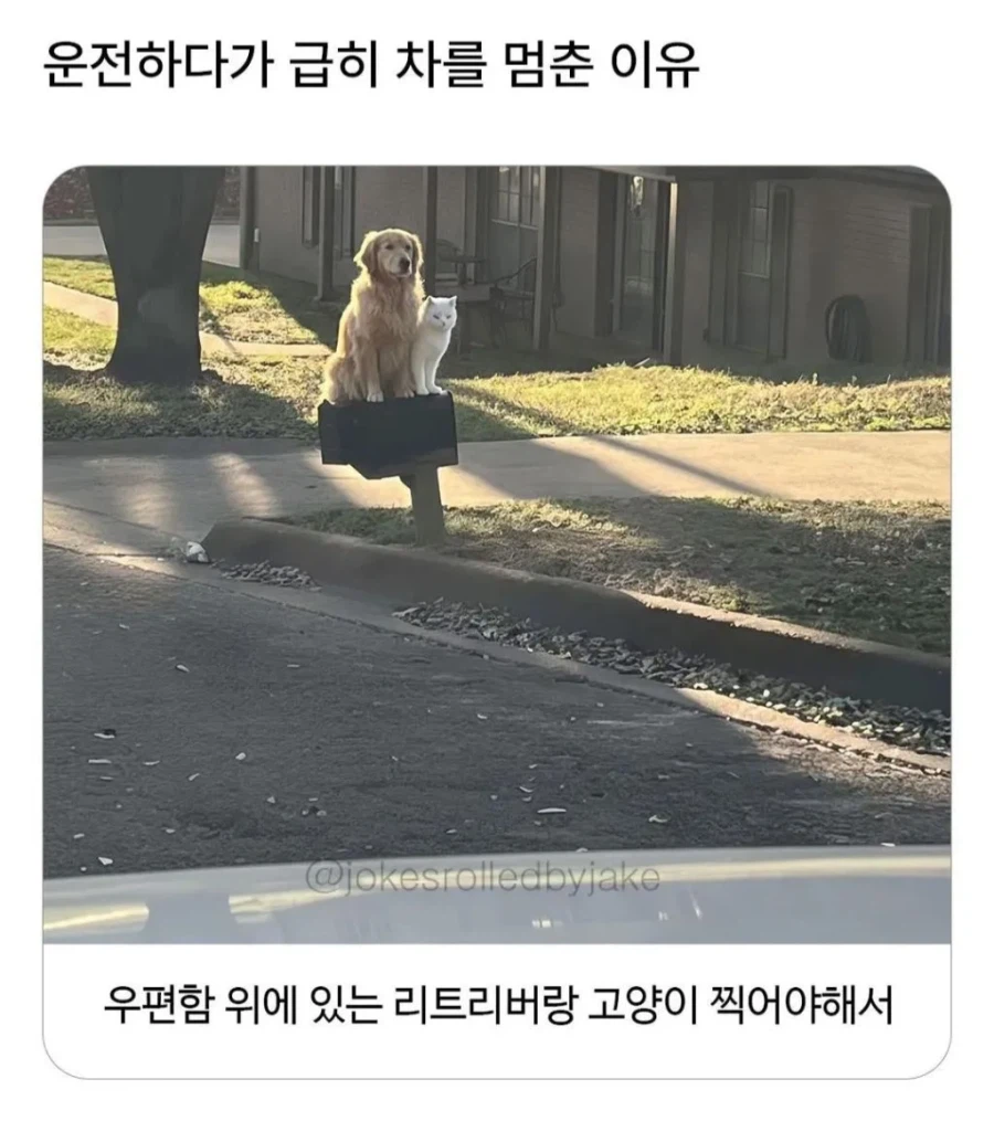 운전하다가 차 멈춘 이유_1.webp