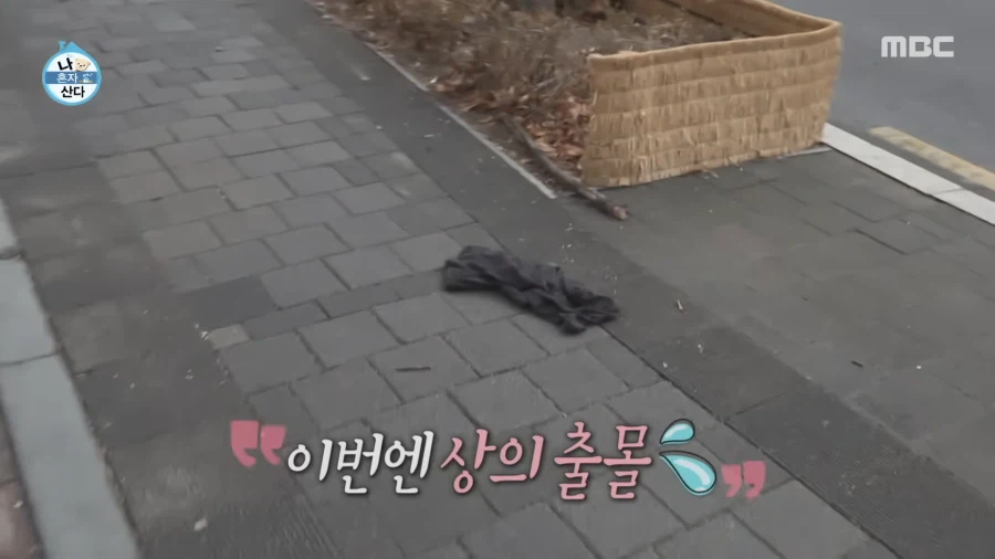 유튜브) 연예인 방송중 팬티 노출 출연진 품평,분석 마치 게임같아_14.webp