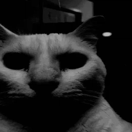 트럼프가 확실히 잘하고 있긴 한가보네 ㅋㅋ_2.webp