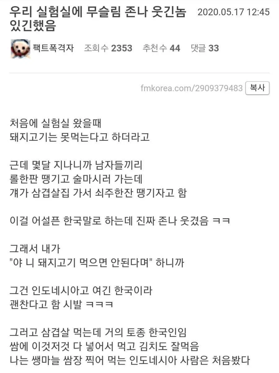 한국화된 무슬림들.jpg_2.webp