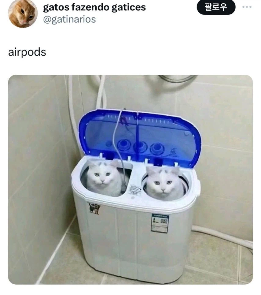 대형 에어팟_1.webp