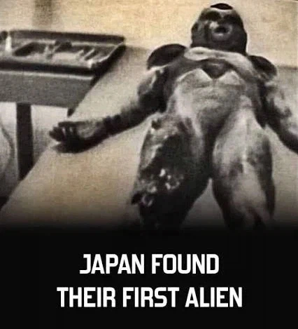 일본에서 외계인 부검체 발견! 사진 유출!_1.webp