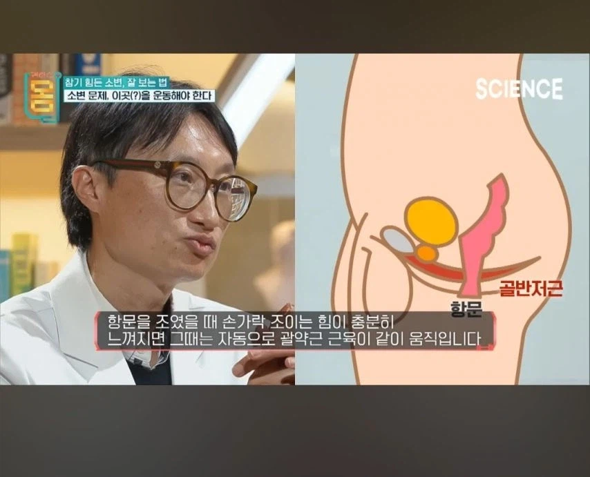 이 운동 열심히하면 전립선이 10대때로...jpg_2.webp