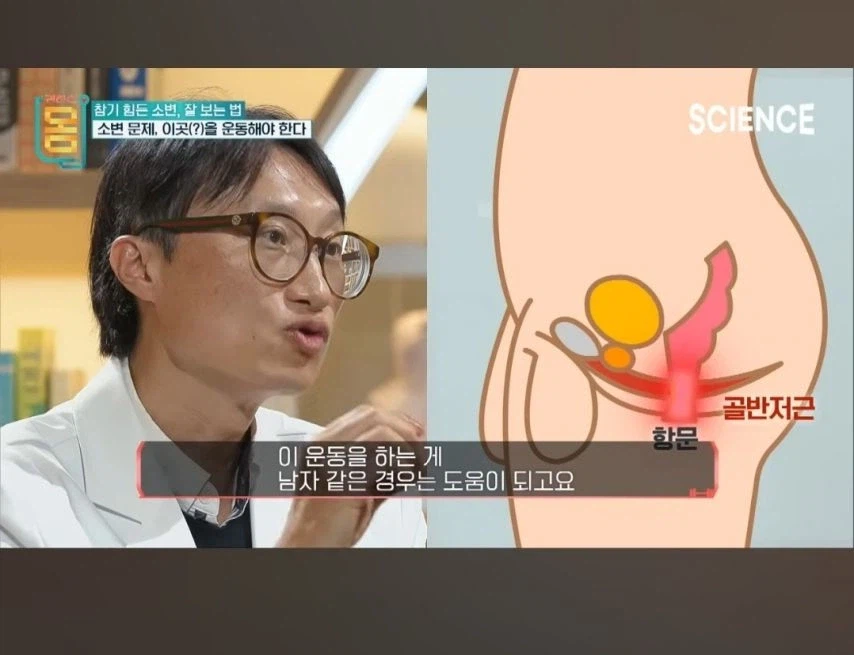 이 운동 열심히하면 전립선이 10대때로...jpg_3.webp