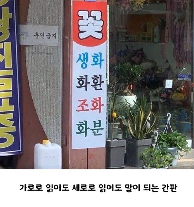 앞뒤가 똑같은_1.webp