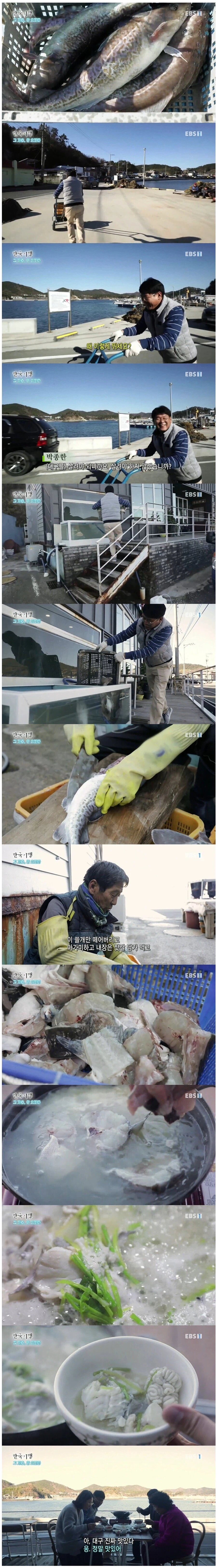 살려야 한다_1.webp