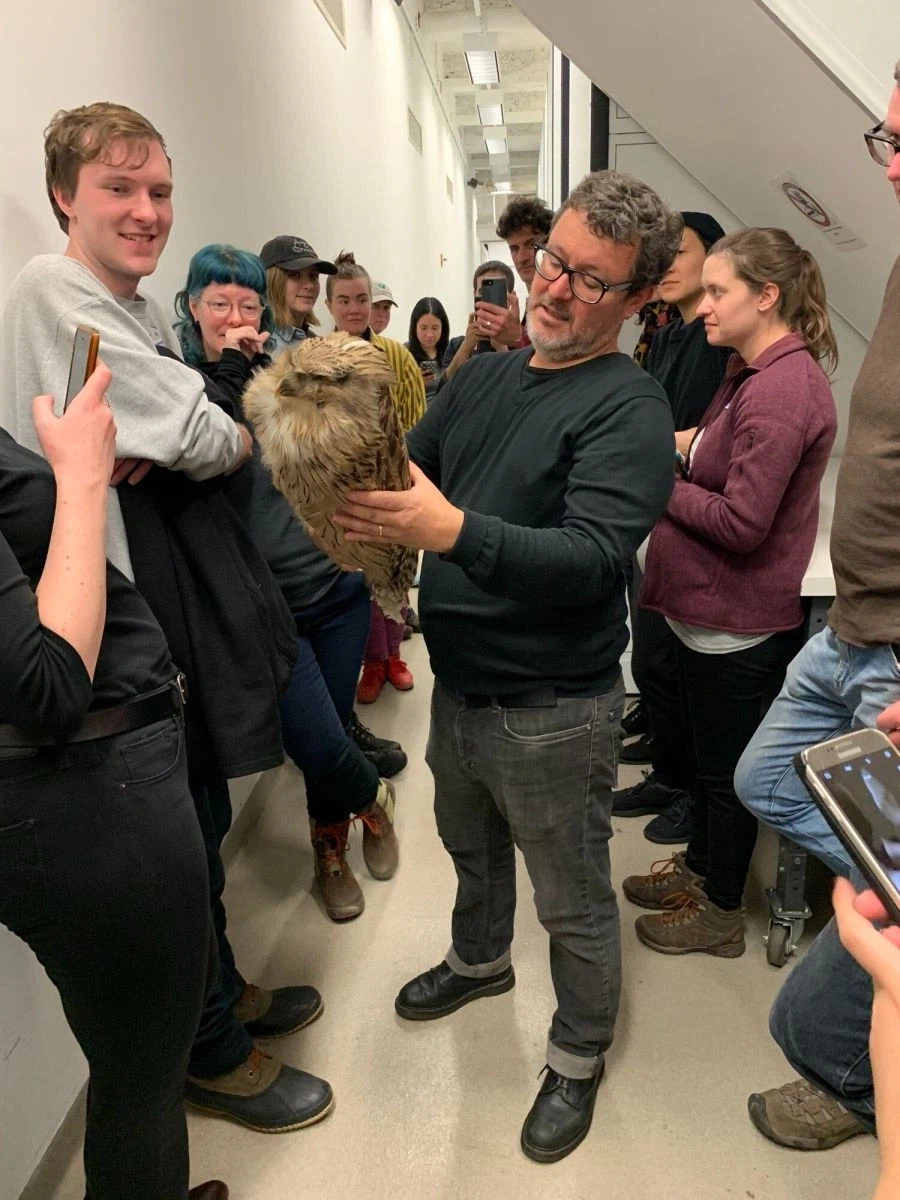 여기 멸종된 새의 질 좋은 표본이 있습니다~_1.webp