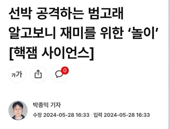 범고래가 인간을 공격하지 않는 이유_1.webp