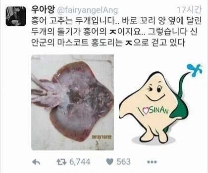 신안 마스코트의 문란한 비밀_1.webp