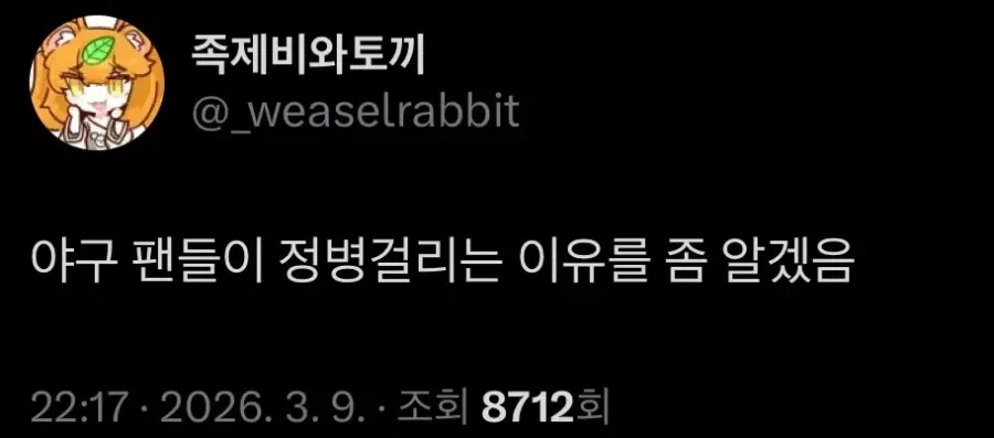 WBC로 야구팬들을 이해하게 되었다는 족제비와 토끼_1.webp