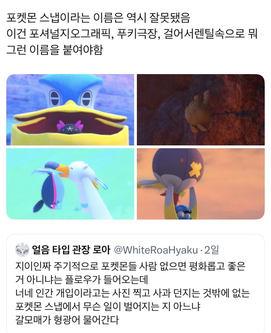 포켓몬 인간이 없으면 행복하다는걸 못믿는 사람_1.webp