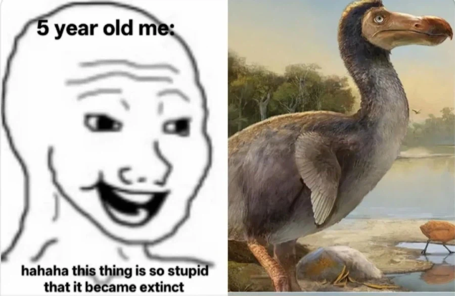 나이들고 인식이 달라지는 동물_1.webp