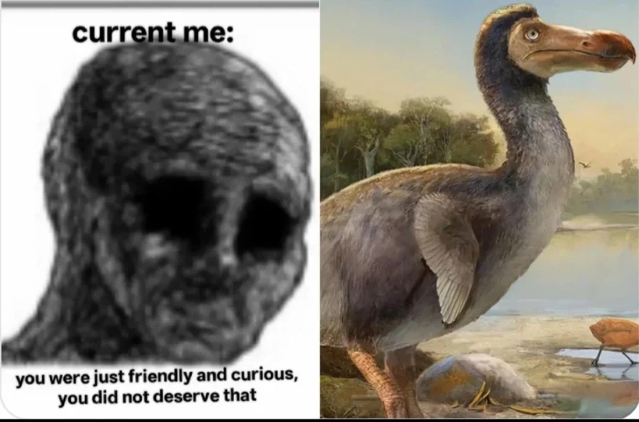 나이들고 인식이 달라지는 동물_2.webp