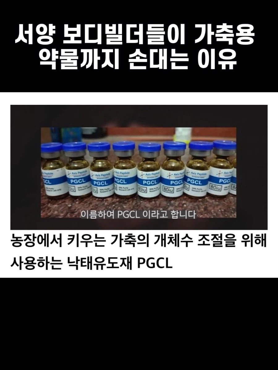 서양 보디빌더들이 가축용 약물까지 손대는 이유.jpg_1.webp