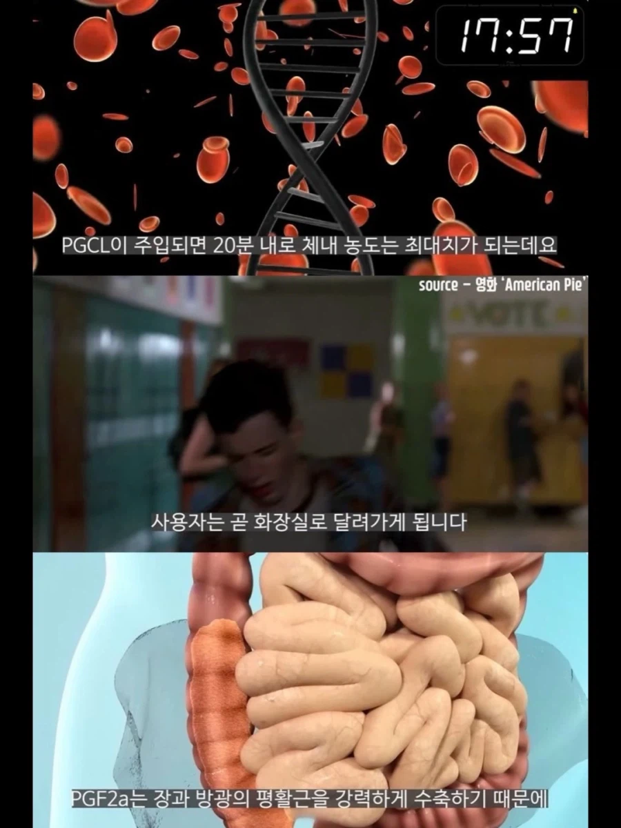 서양 보디빌더들이 가축용 약물까지 손대는 이유.jpg_10.webp