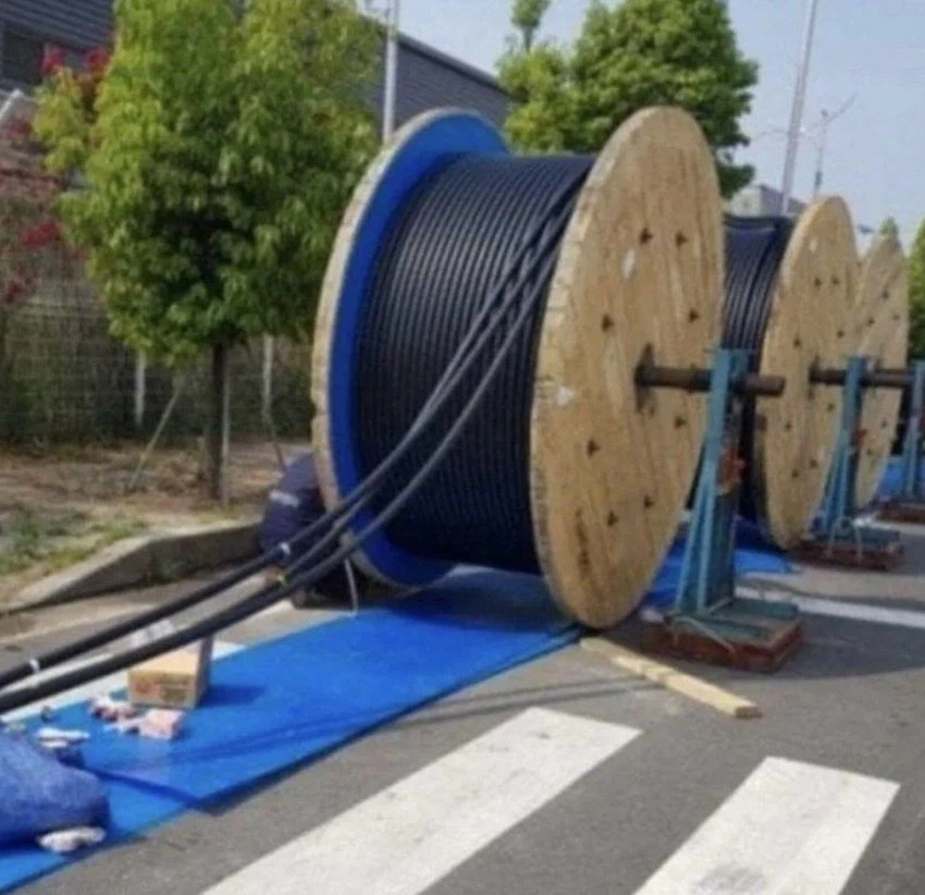 당근에 올라온 월 800 알바.jpg_2.webp