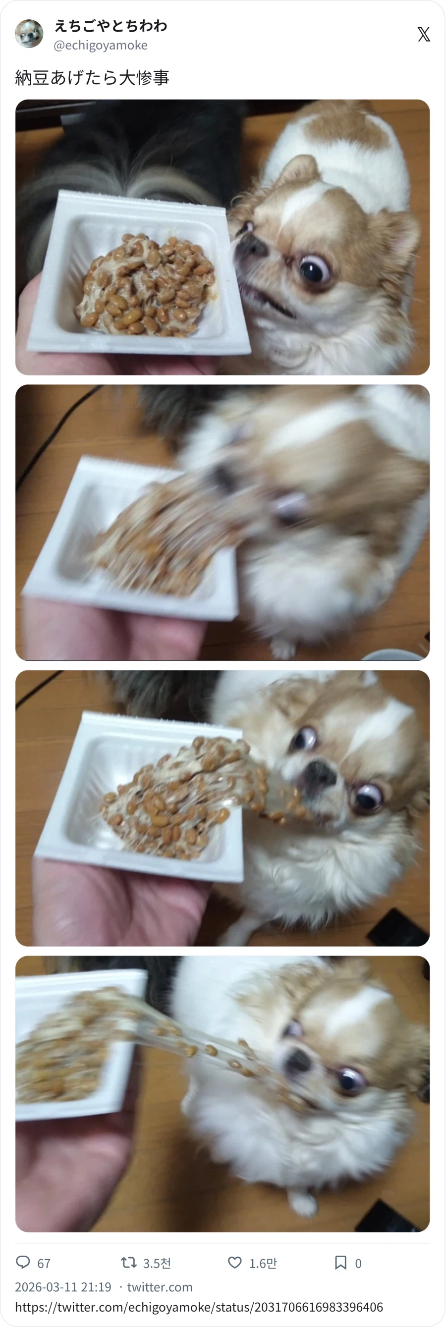 낫토 대참사_1.webp