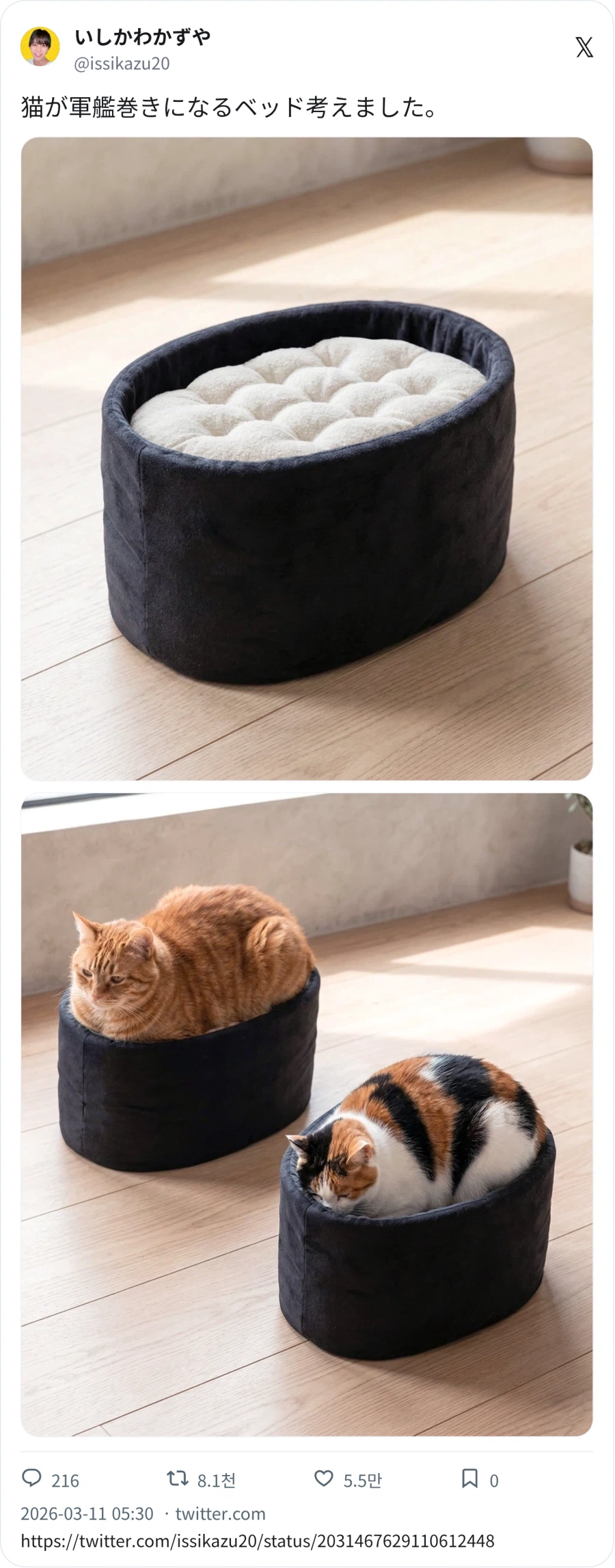 고양이 초밥_1.webp