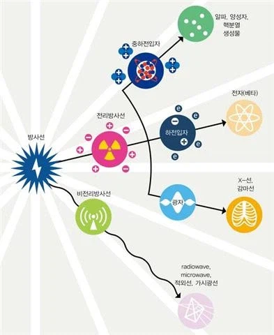 방사선이 존재하는 이유_1.webp
