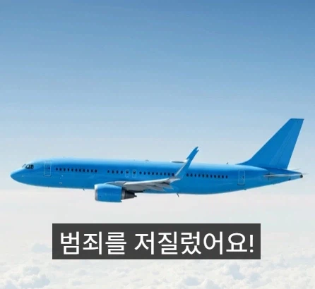 비행기에서 범죄를 저지르면 어느 나라에서 체포 되나.jpg_2.webp