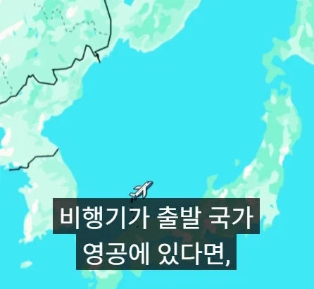 비행기에서 범죄를 저지르면 어느 나라에서 체포 되나.jpg_8.webp