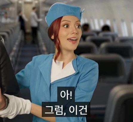 비행기에서 범죄를 저지르면 어느 나라에서 체포 되나.jpg_17.webp