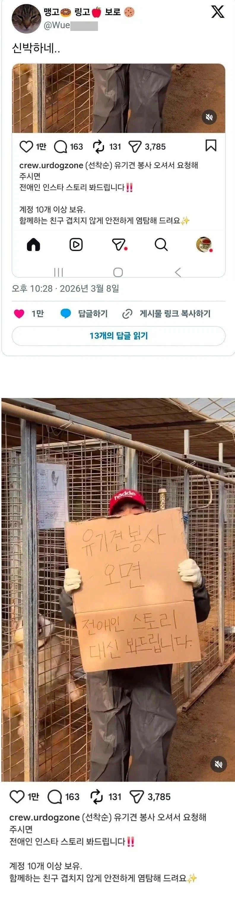 유기견 봉사, 대행_1.webp