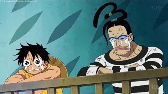 원피스 실사화 압축 최대로 한다면_5.webp