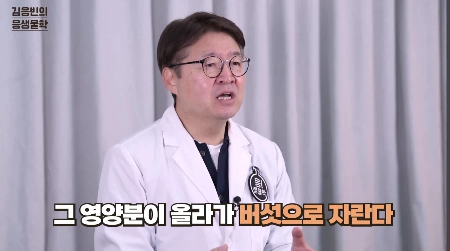 포켓몬 박사(?)가 알려주는 파라섹트의 진실._16.webp