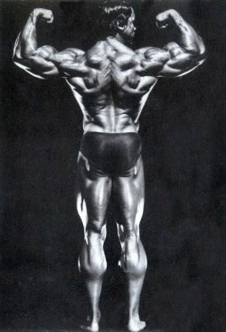 이게 몸매지 ㅋㅋㅋ_1.webp