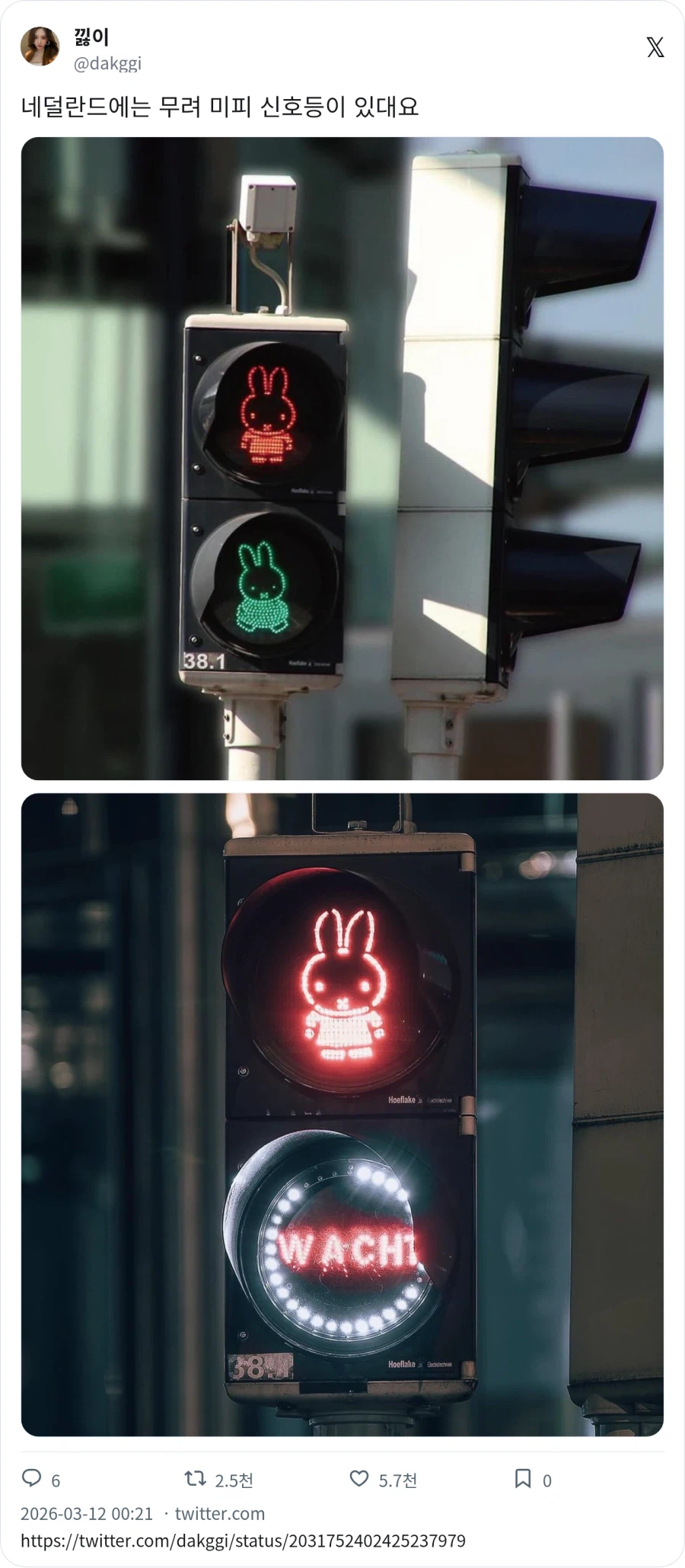 미피 신호등_1.webp