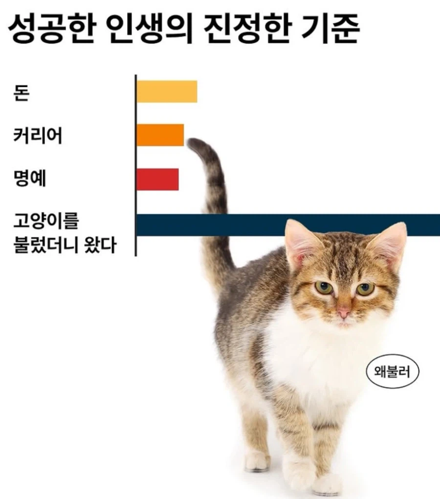 성공한 집사의 기준_1.webp