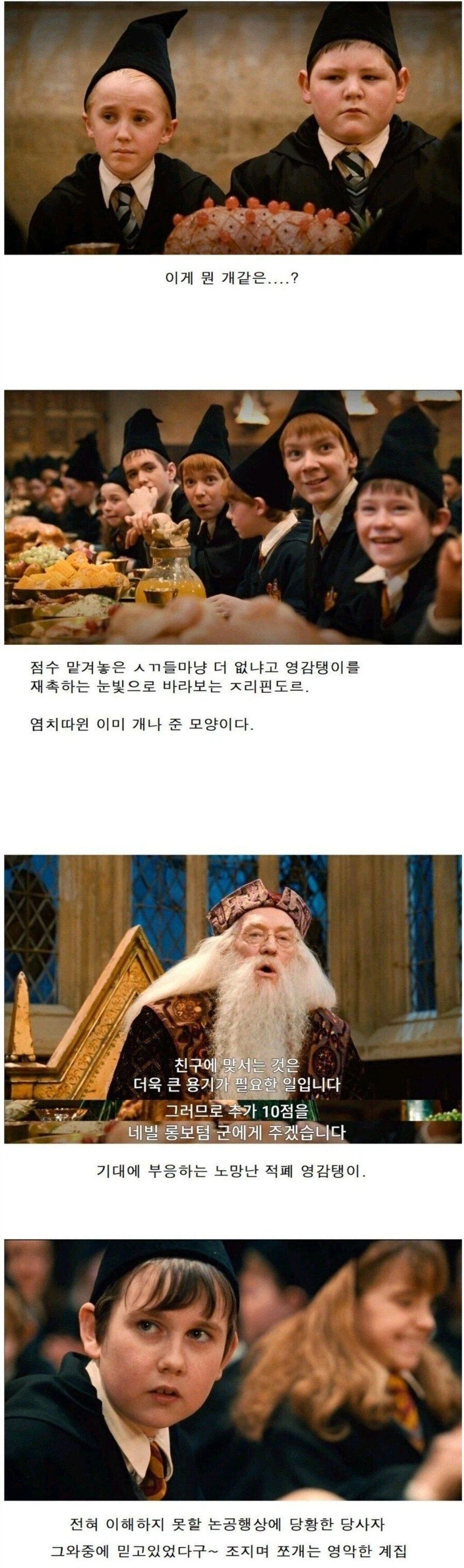 해리포터]슬린데린이 시리즈 내내 표독한 이유_4.webp