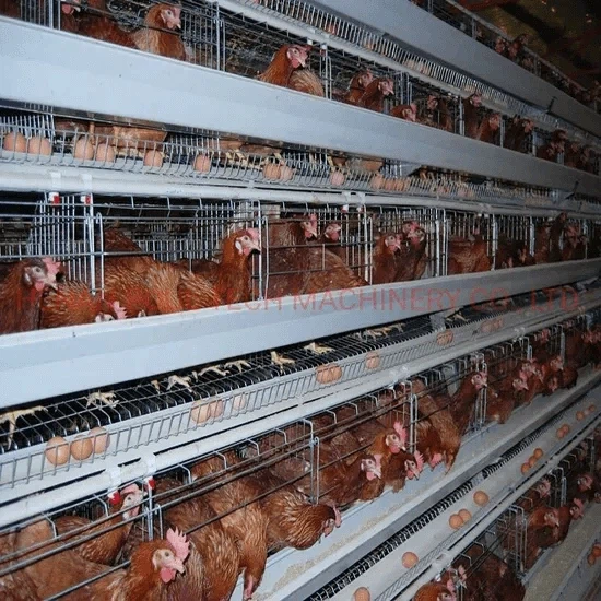 포코피아... K-현지화 완료_3.webp