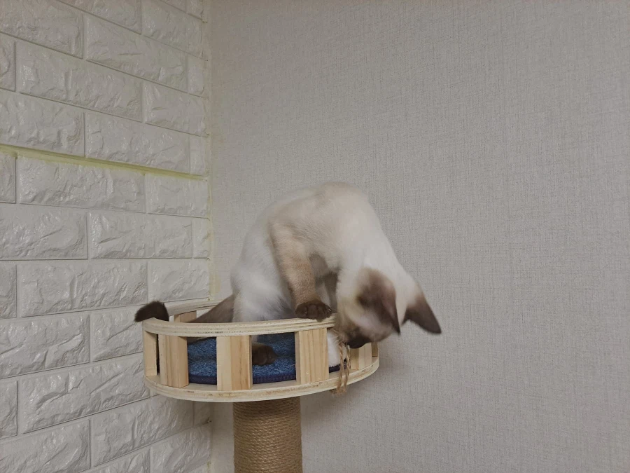 다들 이런 것 좋아하지? 솔직한 사람들을 위해서 특별히!!!_1.webp