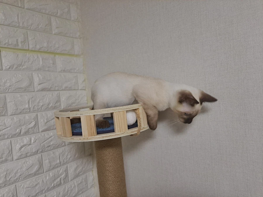 다들 이런 것 좋아하지? 솔직한 사람들을 위해서 특별히!!!_2.webp