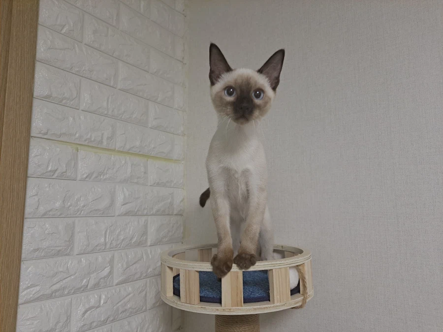 다들 이런 것 좋아하지? 솔직한 사람들을 위해서 특별히!!!_3.webp