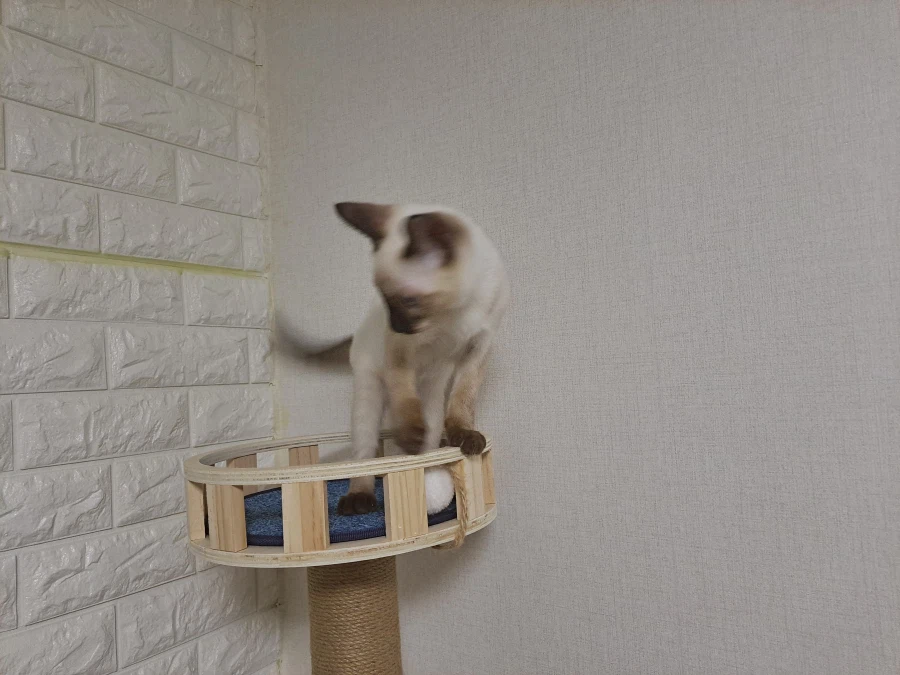 다들 이런 것 좋아하지? 솔직한 사람들을 위해서 특별히!!!_4.webp