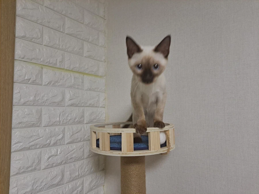 다들 이런 것 좋아하지? 솔직한 사람들을 위해서 특별히!!!_6.webp