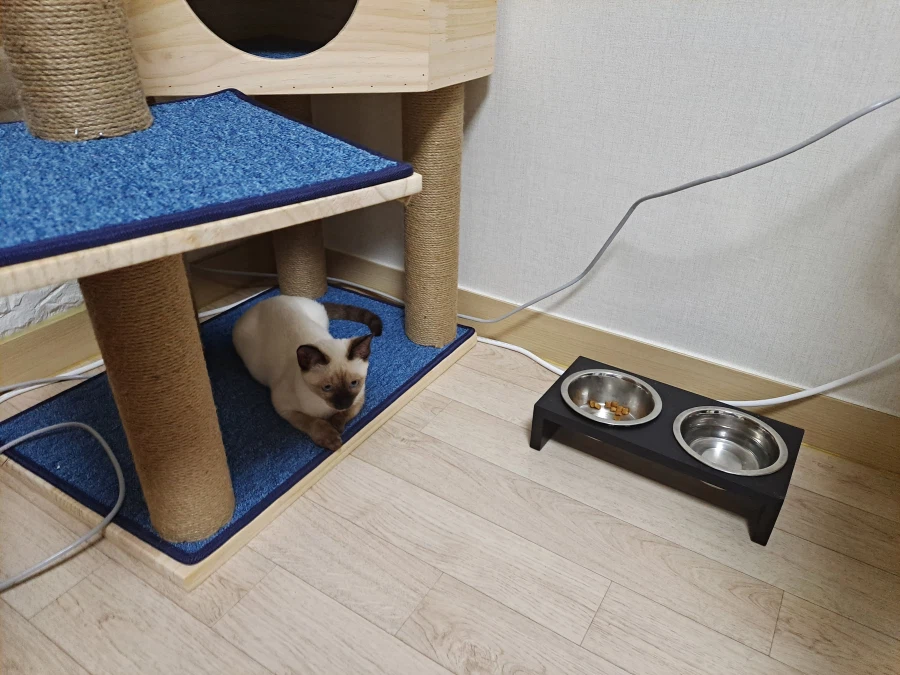 다들 이런 것 좋아하지? 솔직한 사람들을 위해서 특별히!!!_7.webp